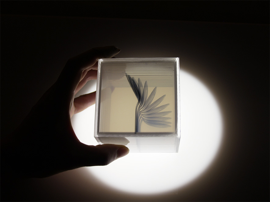 desktop archaeology_s2